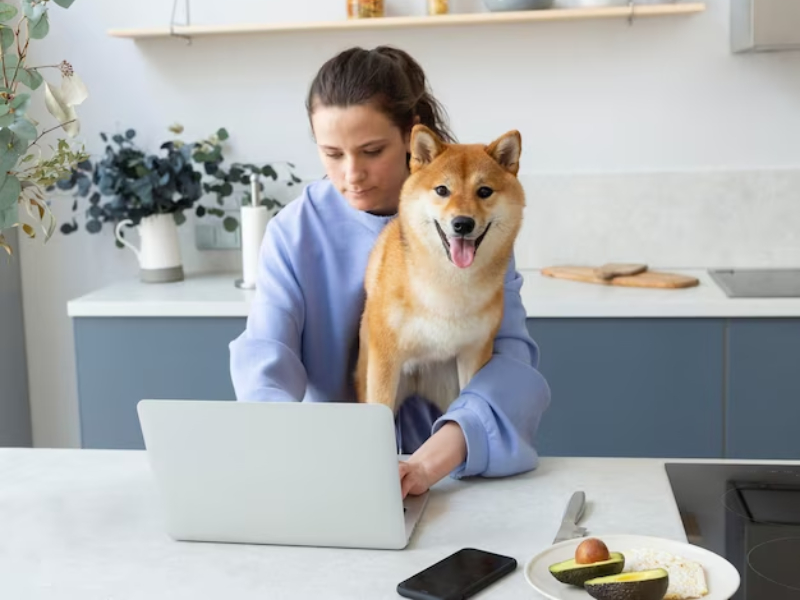 online veterinary appointment system