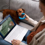 Paws and Pixels: Revolutionizing Veterinary Care with Online Booking Software